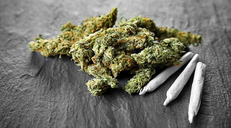 Бизнес: В Бруклине откроются первые диспансеры с марихуаной